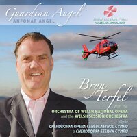 Guardian Angel - Bryn Terfel
