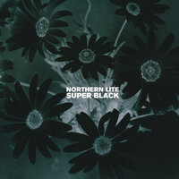 My Other Self - Northern Lite