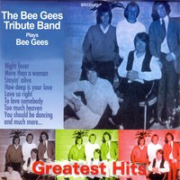 You Shoud Be Dancing - The Bee Gees Tribute Band