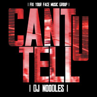 Can't U Tell Remix - Dj Noodles, Jay Rock, Pitbull