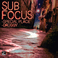 Special Place - Sub Focus