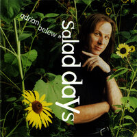 Never Enough - Adrian Belew
