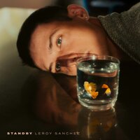 Stay For A While - Leroy Sanchez