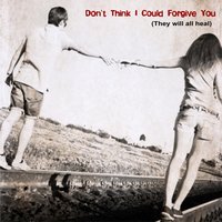 Don't Think I Will Forgive You - Robin Berrygold