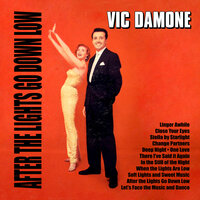 When the Lights Are Low - Vic Damone