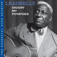 Irene (Goodnight Irene) - Leadbelly