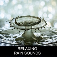 Mornings in Paradise - Rain Relaxation, Rain Sounds for Relaxation, Relaxing Rain Sounds, Relaxing Rain Sounds, Rain Sounds for Relaxation