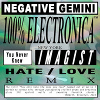 You Never Knew - Negative Gemini, Imagist