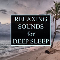 Leaves in the Wind - Deep Sleep Music Club, Rain Sounds, Massage Therapy Music