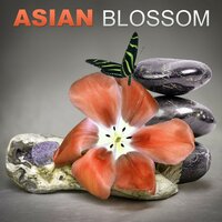 Harmony - Asian Zen