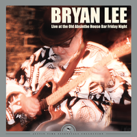The Sky Is Crying - Bryan Lee