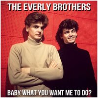 Baby What You Want Me to Do? - The Everly Brothers