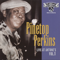 I Almost Lost My Mind - Pinetop Perkins
