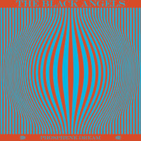 Haunting at 1300 McKinley - The Black Angels