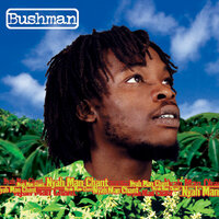 Man A Lion - Bushman