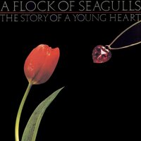 Lost Control (Totally) - A Flock Of Seagulls