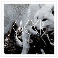 Michael X - Casper