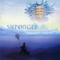Once Upon the Sea of Blissful Awareness - Shpongle