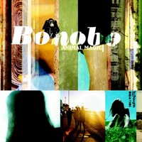 The Plug - Bonobo