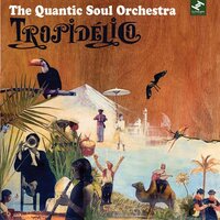 She Said What? - The Quantic Soul Orchestra, Quantic, J-Live