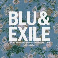 A Letter - Blu & Exile, Exile