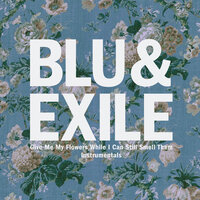 Don't Be Jelly - Blu & Exile, Exile