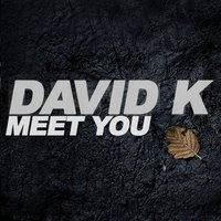 Meet You - David K, Thomas Lizzara