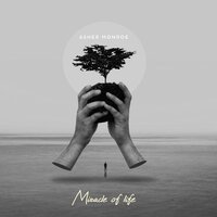 Miracles of Life - Asher Monroe