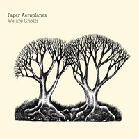 Days We Made - Paper Aeroplanes
