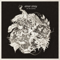 Teargas Plateglass - Einar Stray