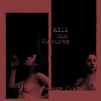 The Wine Thief - Kill the Vultures