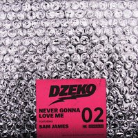 Never Gonna Love Me - Dzeko, Sam James