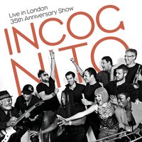 Brazilian Love Affair - Incognito