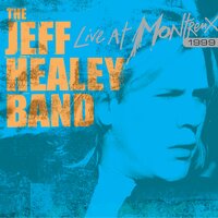 Third Degree - The Jeff Healey Band