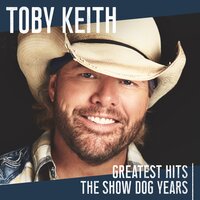 Lost You Anyway - Toby Keith