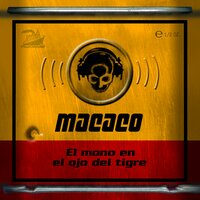 Delaveraveraboom - Macaco