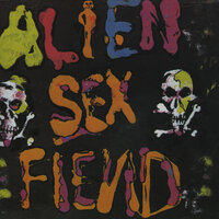 Fly in the Ointment... - Alien Sex Fiend