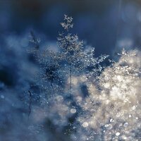 Blizzard Blues - Instrumental Guitar Music, Spiritual Fitness Music, Sounds of Nature White Noise for Mindfulness Meditation and Relaxation