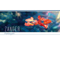 Tem Que - Zander