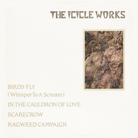 In the Cauldron of Love - The Icicle Works