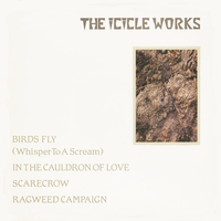 The Icicle Works