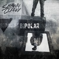Runaway - Shawn Cooley, Bubba Sparxxx, Solo