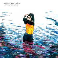 Roses - Stand Atlantic