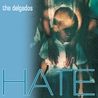 All You Need Is Hate - The Delgados