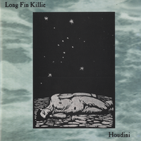 The Heads of Dead Surfers - Long Fin Killie, Mark E. Smith