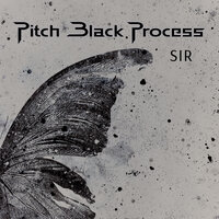 Buselik Makamına - Pitch Black Process