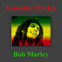 Rain Washing - Bob Marley