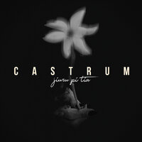 Castrum