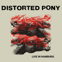 Distorted Pony