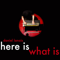 Not Fighting Anymore - Daniel Lanois
